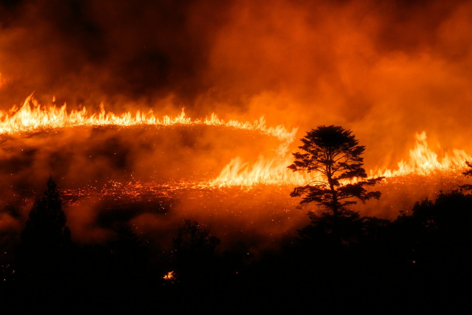 feu de forêt de nuit